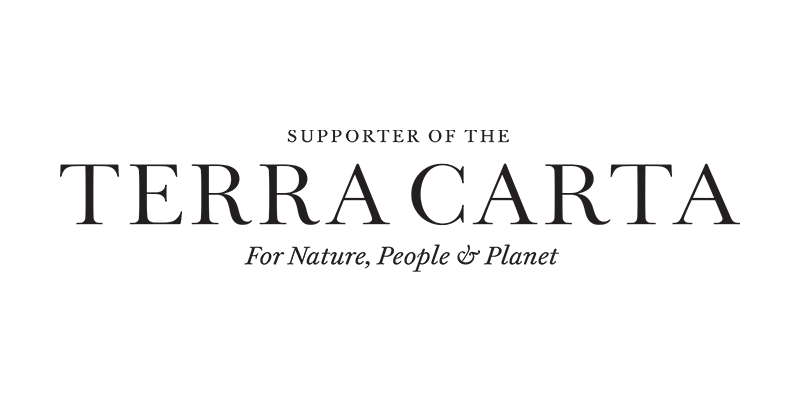 Terra Carta Logo